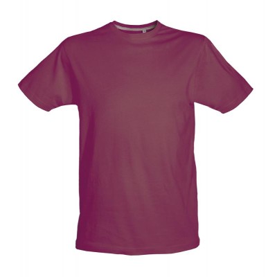 Ανδρικό μπλουζάκι 170gr COLORS